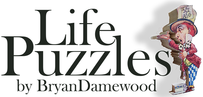 Life Puzzles by Bryan Damewood